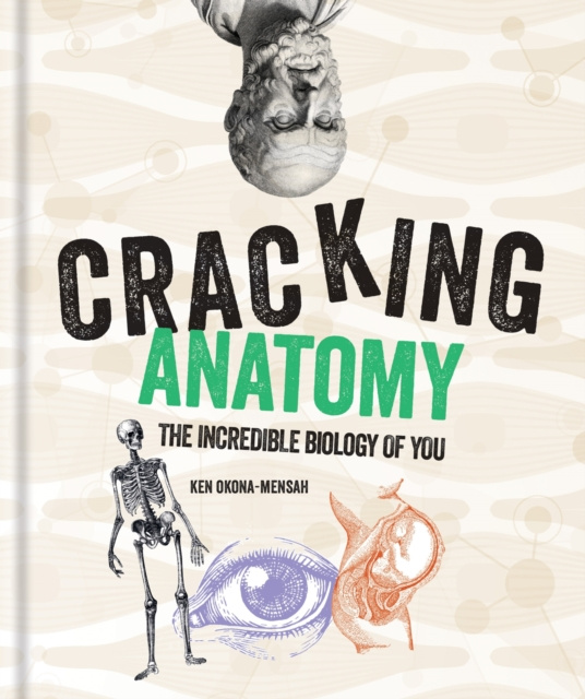 ebook Cracking Anatomy Ken Okona-Mensah
