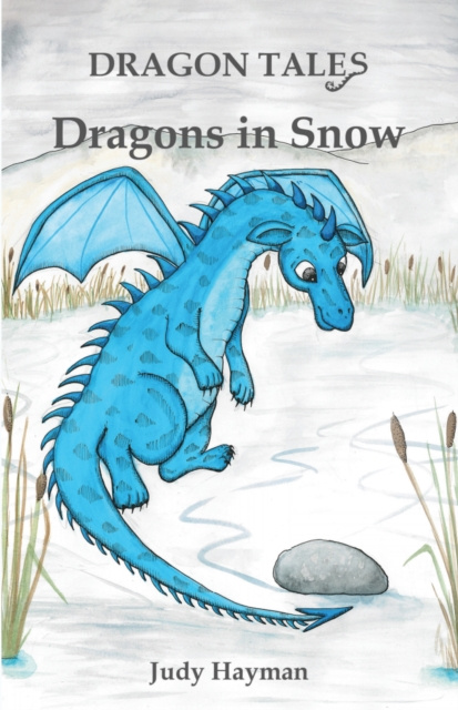 E-Book Dragons in Snow Judy Hayman