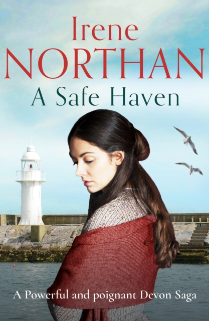 E-knjiga Safe Haven Irene Northan