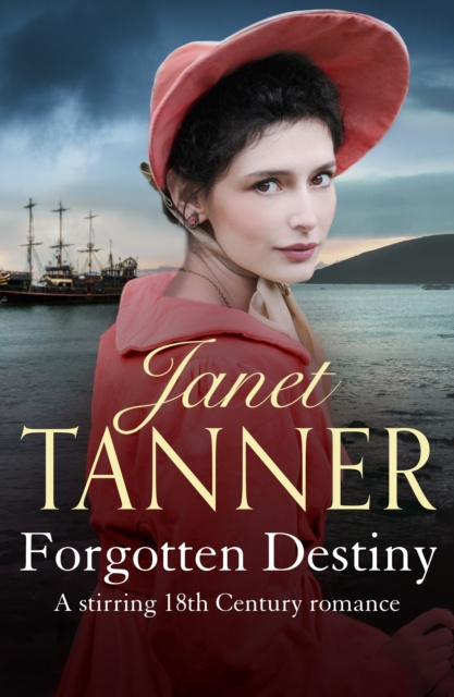 E-knjiga Forgotten Destiny Janet Tanner