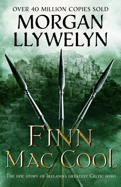 E-kniha Finn Mac Cool Morgan Llywelyn