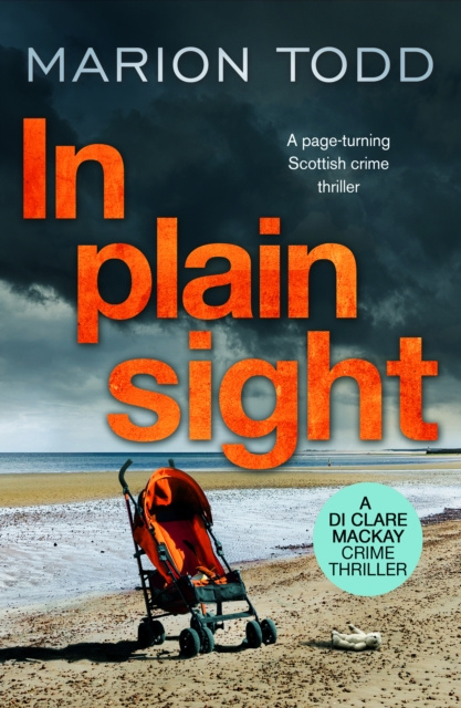 E-knjiga In Plain Sight Marion Todd