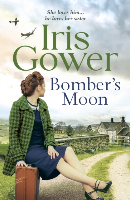 E-kniha Bomber's Moon Iris Gower