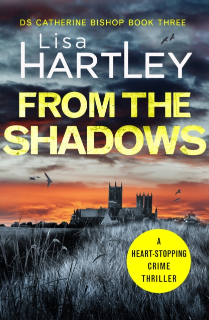 E-knjiga From the Shadows Lisa Hartley