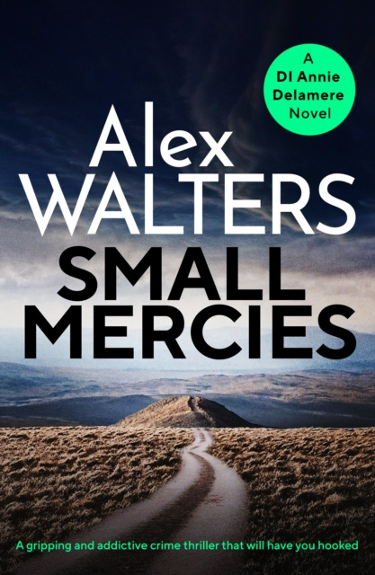 E-book Small Mercies Alex Walters