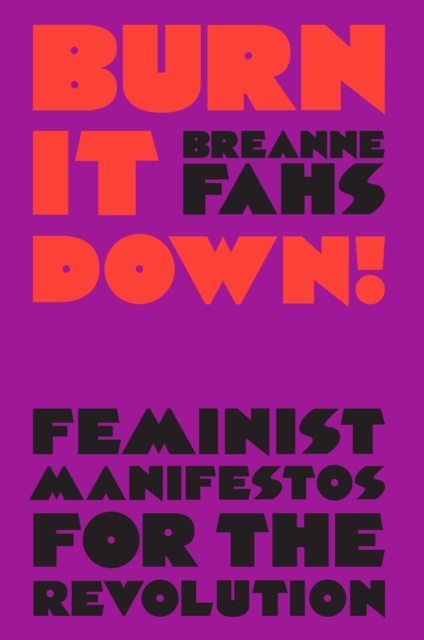 E-book Burn It Down! Breanne Fahs