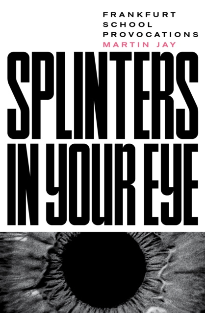 E-knjiga Splinters in Your Eye Martin Jay
