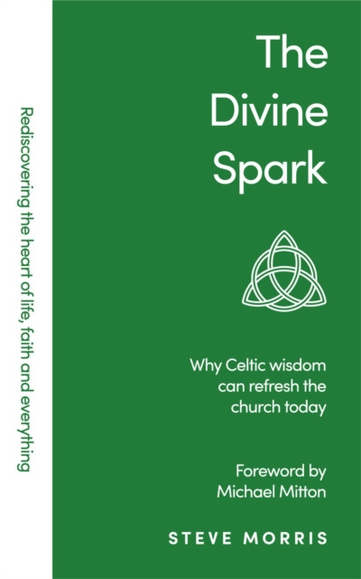 E-knjiga Divine Spark Steve Morris