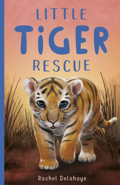 E-book Little Tiger Rescue Rachel Delahaye