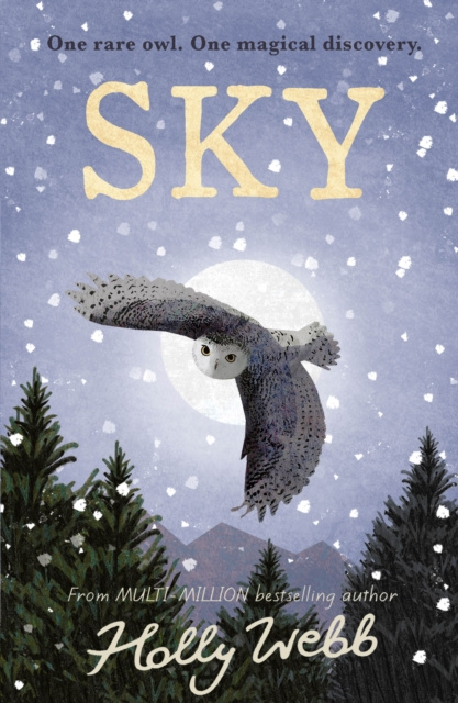 E-knjiga Sky Holly Webb