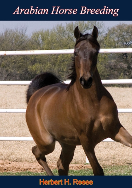E-knjiga Arabian Horse Breeding Herbert H. Reese