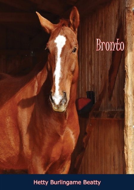 E-book Bronto Hetty Burlingame Beatty