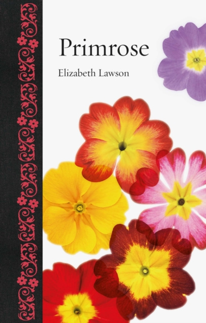 E-knjiga Primrose Lawson Elizabeth Lawson