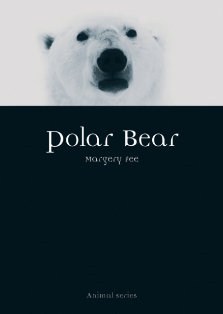 E-knjiga Polar Bear Fee Margery Fee