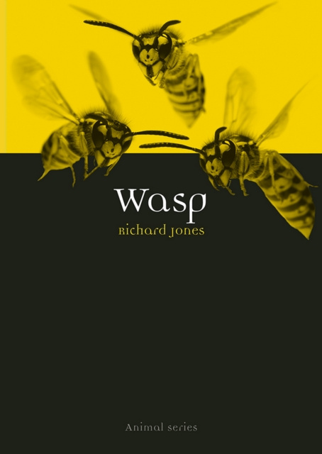E-knjiga Wasp Jones Richard Jones