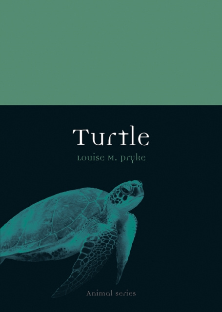 E-knjiga Turtle Pryke Louise M. Pryke