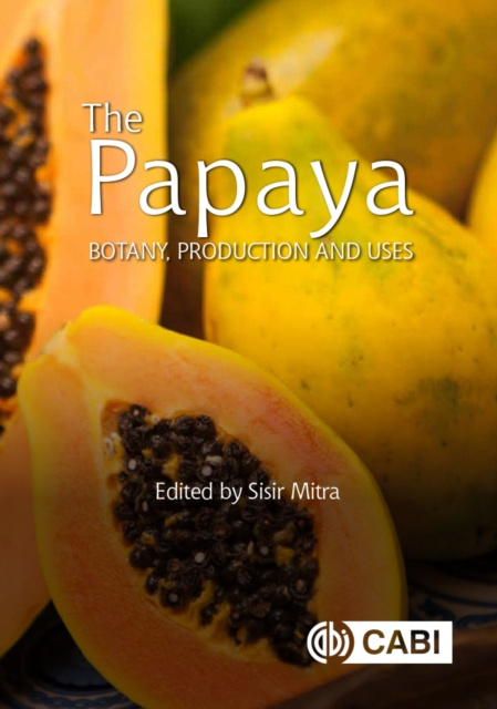 E-kniha Papaya Sisir Mitra