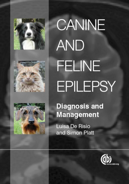 E-kniha Canine and Feline Epilepsy Luisa De Risio