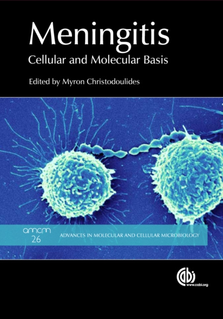 E-book Meningitis Darryl J Hill