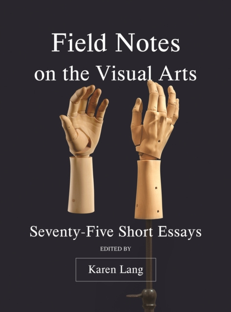 E-kniha Field Notes on the Visual Arts Karen Lang