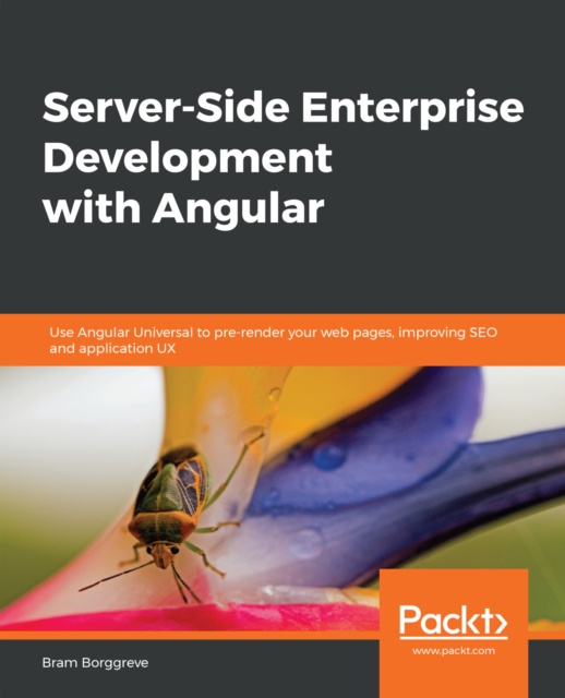 E-knjiga Server-Side Enterprise Development with Angular Borggreve Bram Borggreve