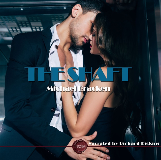 Audiobook Shaft Michael Bracken