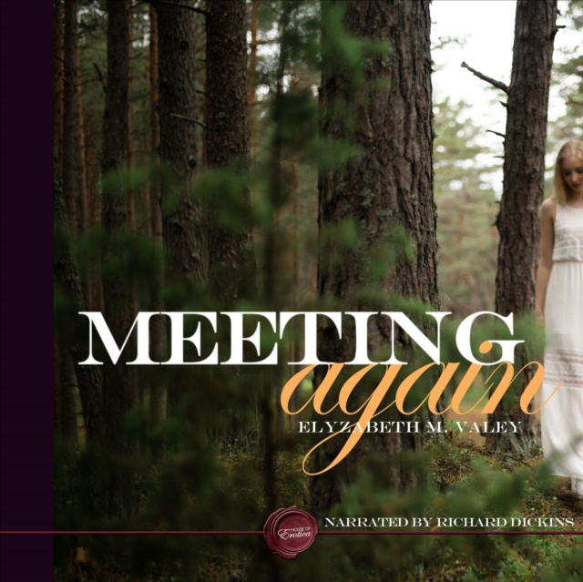 Audiobook Meeting Again Elyzabeth M VaLey