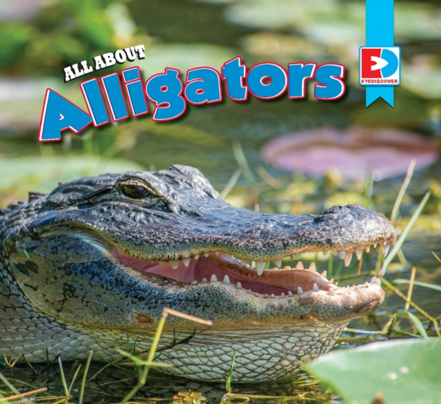 E-knjiga All About Alligators Candice Letkeman