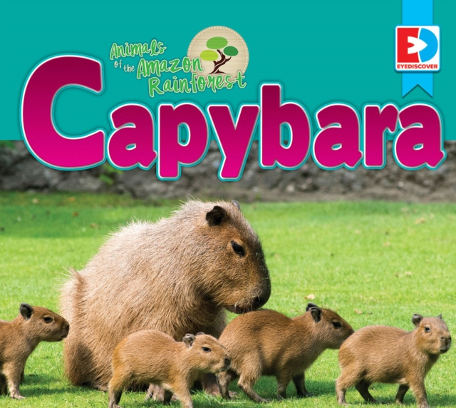 E-kniha Animals of the Amazon Rainforest: Capybara Katie Gillespie