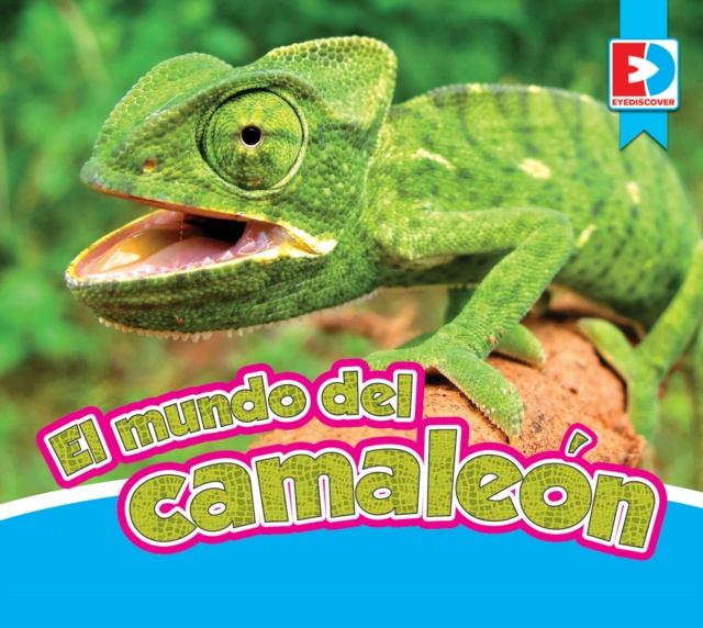E-book El mundo del camaleon Eric Doty