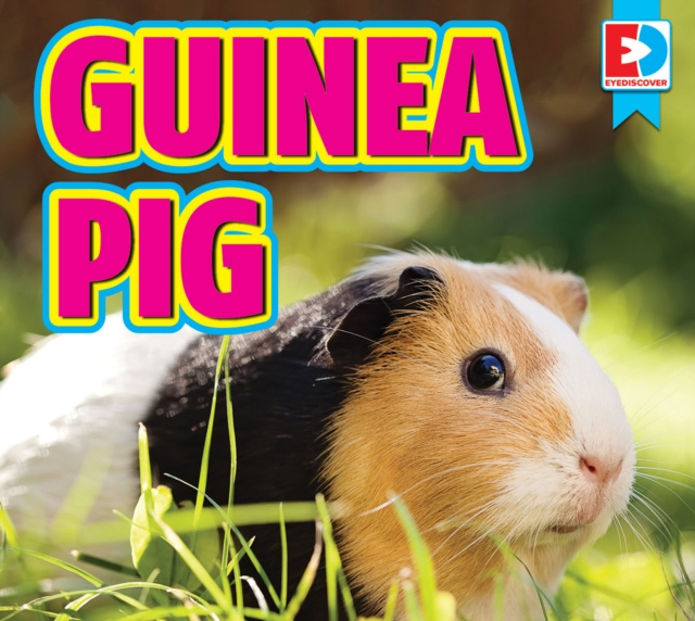 E-book Guinea Pigs Renae Gilles