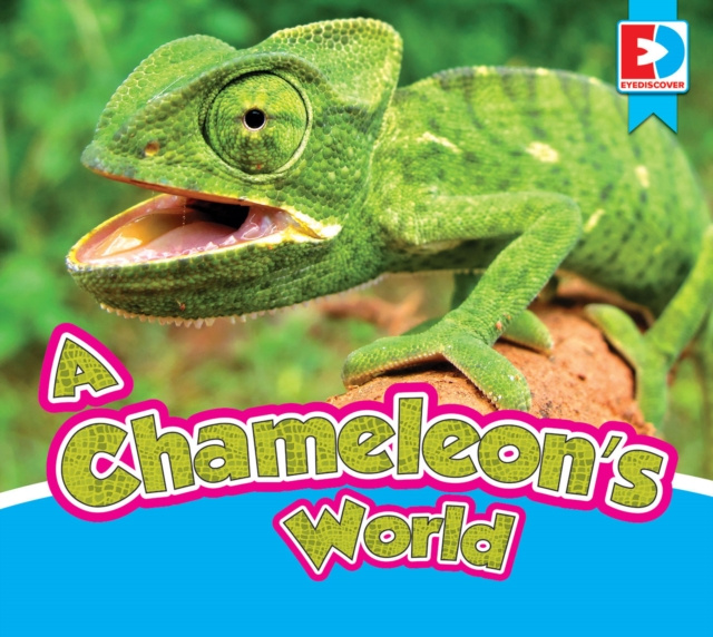 E-book Chameleon's World Eric Doty