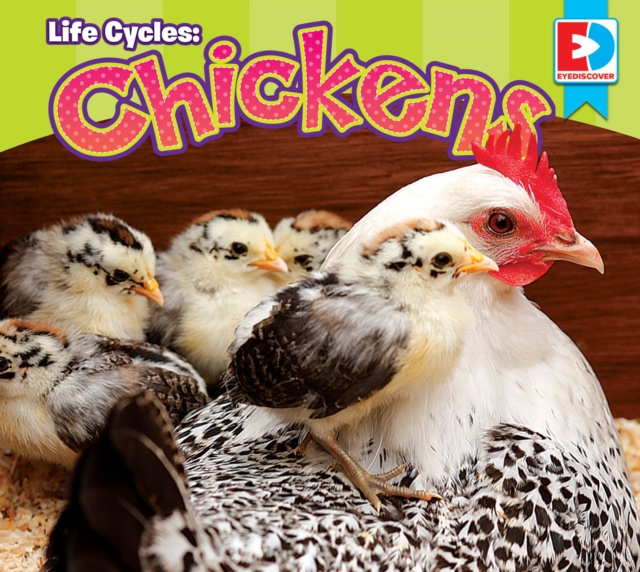E-book Life Cycles: Chickens Maria Koran
