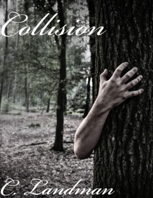 E-knjiga Collision Landman C. Landman