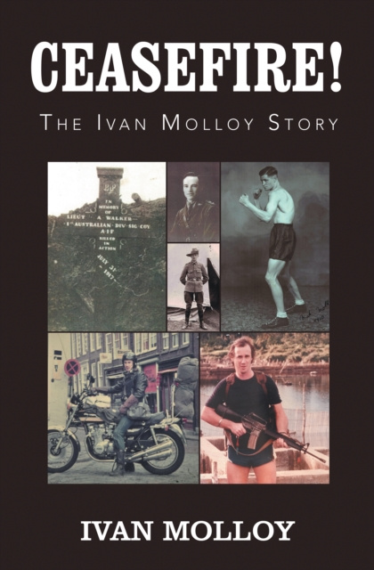 E-knjiga Ceasefire! Ivan Molloy