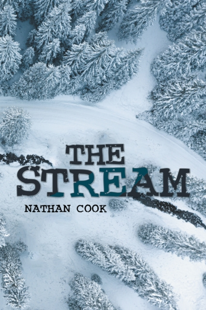 E-knjiga Stream Nathan Cook