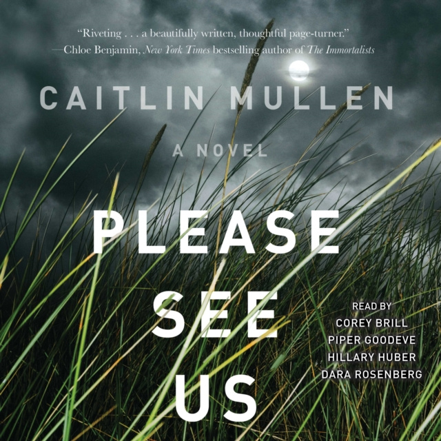 Audiokniha Please See Us Caitlin Mullen