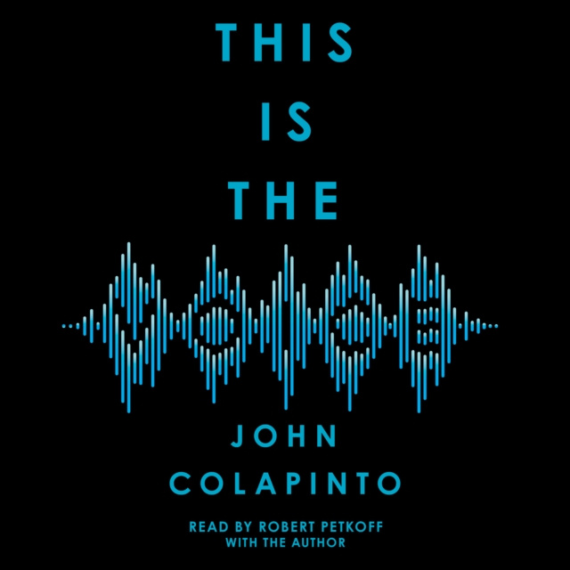 Audiokniha This is the Voice John Colapinto