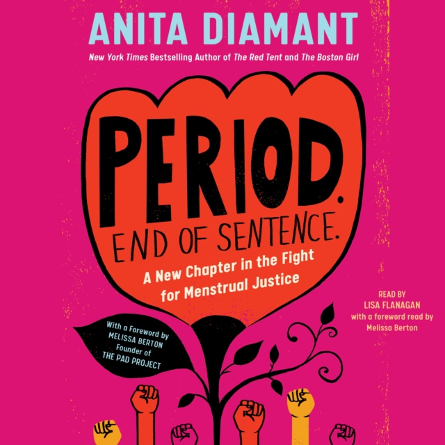 Audiokniha Period. End of Sentence. Anita Diamant