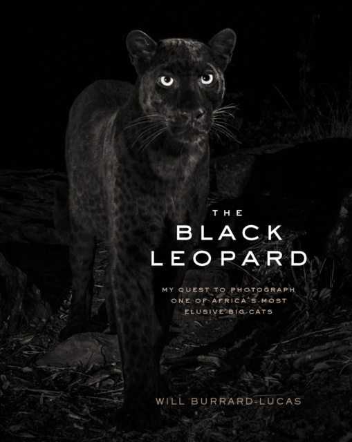 E-knjiga Black Leopard Will Burrard-Lucas