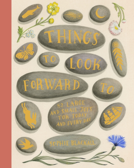 E-book Things to Look Forward To Sophie Blackall
