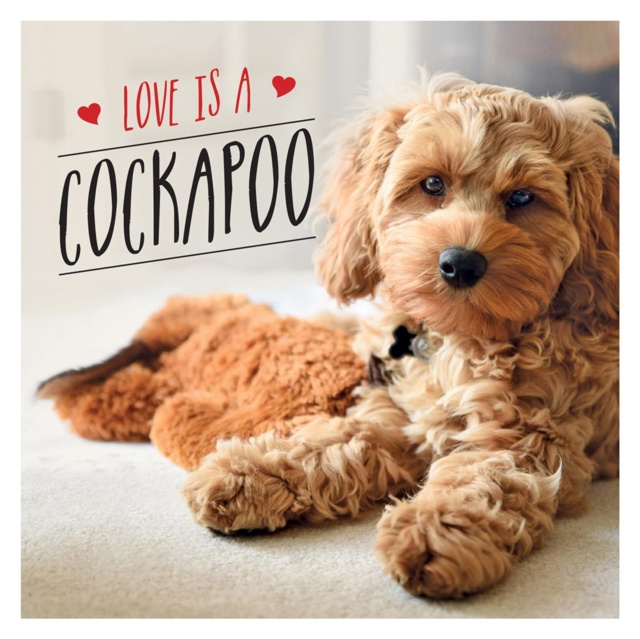E-book Love is a Cockapoo Charlie Ellis