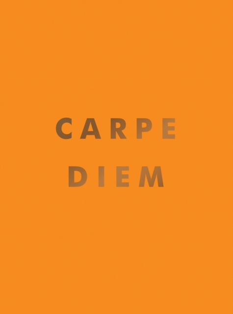 E-knjiga Carpe Diem Summersdale Publishers