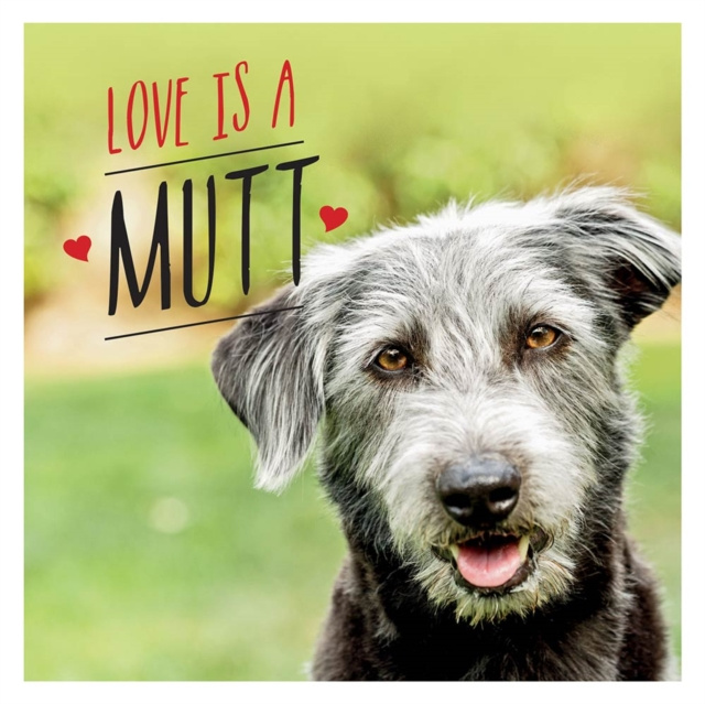 E-book Love is a Mutt Charlie Ellis