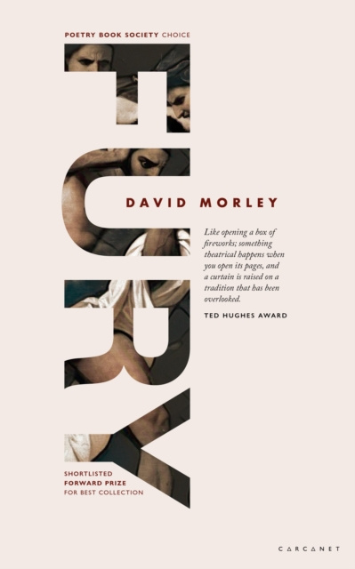 E-knjiga FURY David Morley