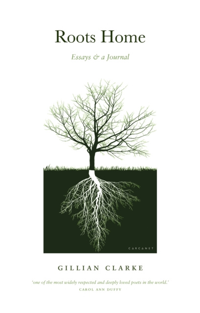 E-book Roots Home Gillian Clarke