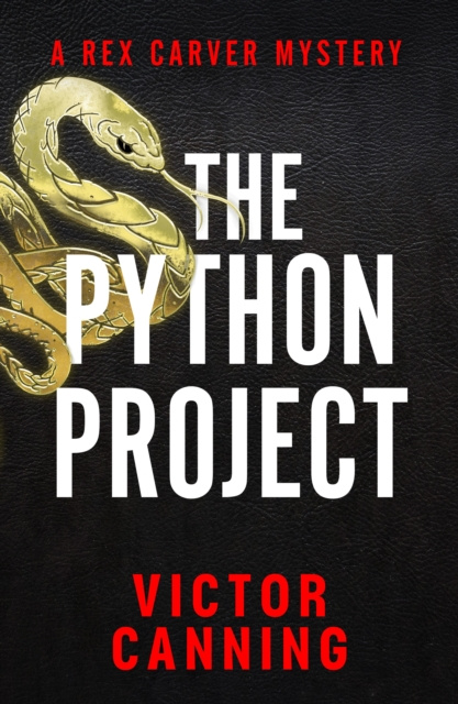 E-kniha Python Project Victor Canning