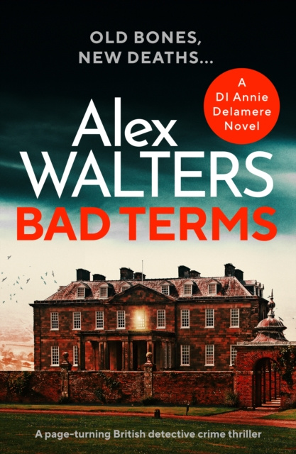E-book Bad Terms Alex Walters