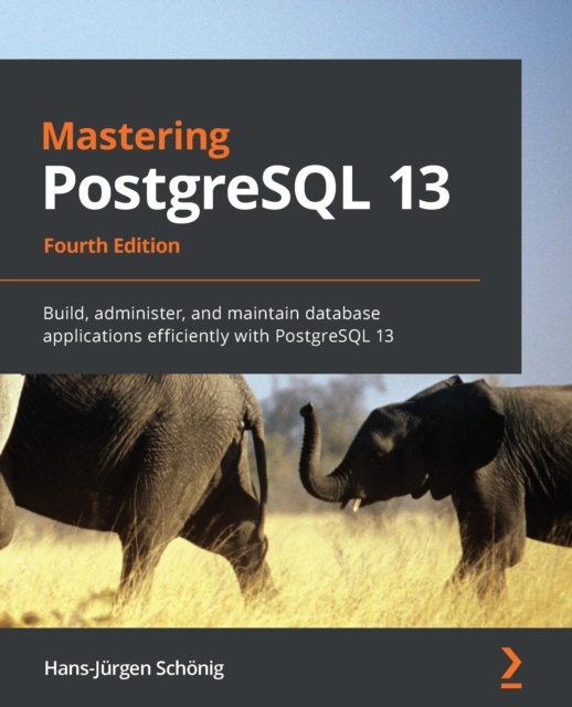 E-knjiga Mastering PostgreSQL 13 Schonig Hans-Jurgen Schonig