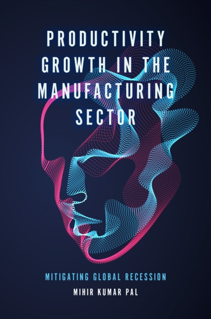 E-Book Productivity Growth in the Manufacturing Sector Mihir Kumar Pal
